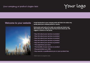 Web Design Package
