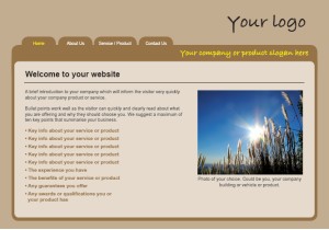 Web Design Package